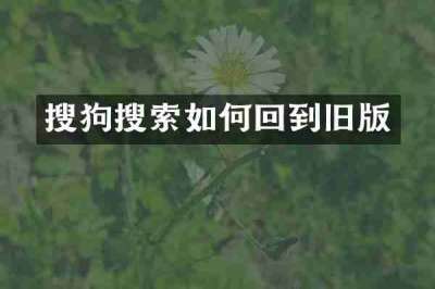 搜狗搜索如何回到旧版