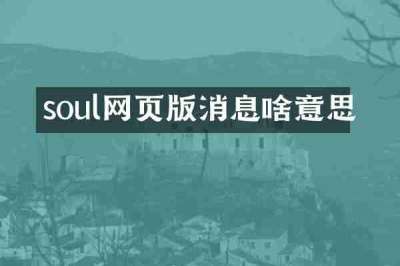 soul网页版消息啥意思