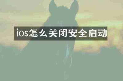 ios怎么关闭安全启动