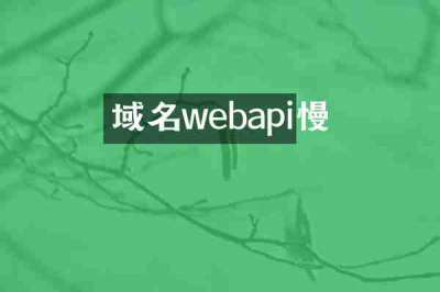 域名webapi慢