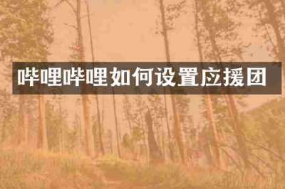 哔哩哔哩如何设置应援团