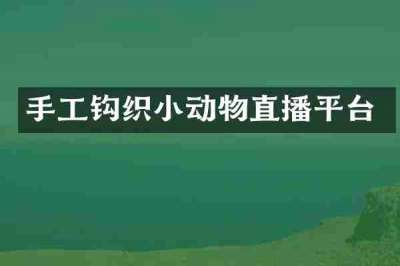 手工钩织小动物直播平台