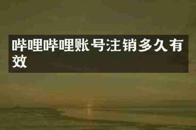 哔哩哔哩账号注销多久有效
