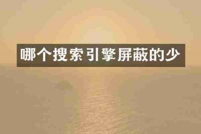 哪个搜索引擎屏蔽的少