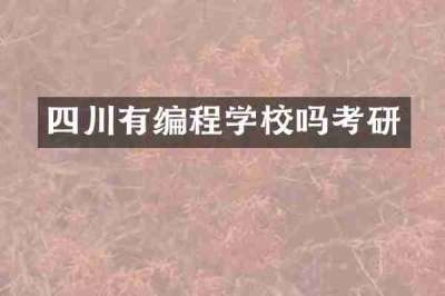 四川有编程学校吗考研