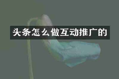 头条怎么做互动推广的