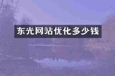 东光网站优化多少钱
