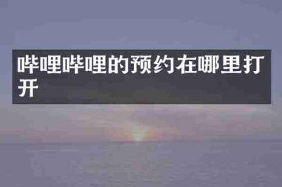 哔哩哔哩的预约在哪里打开