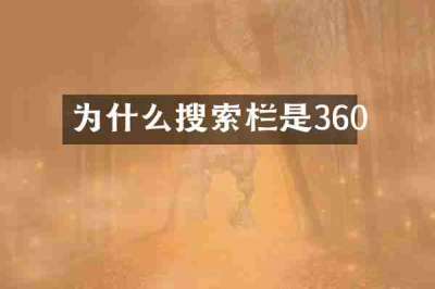 为什么搜索栏是360