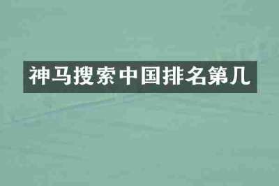 神马搜索中国排名第几