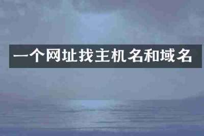 一个网址找主机名和域名
