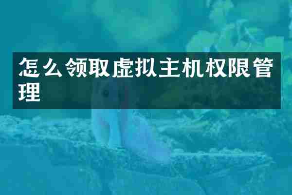 怎么领取虚拟主机权限管理