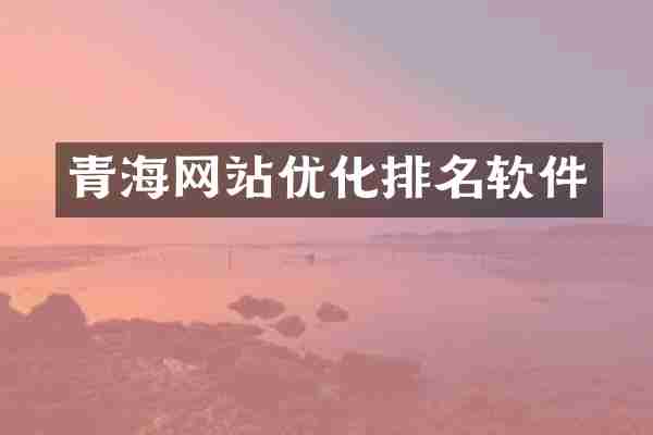 青海网站优化排名软件