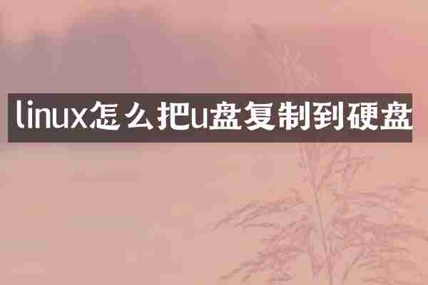 linux怎么把u盘复制到硬盘