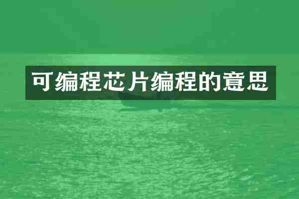 可编程芯片编程的意思