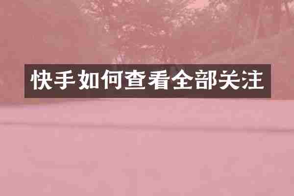 快手如何查看全部关注