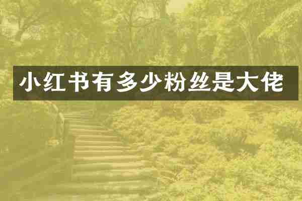 小红书有多少粉丝是大佬