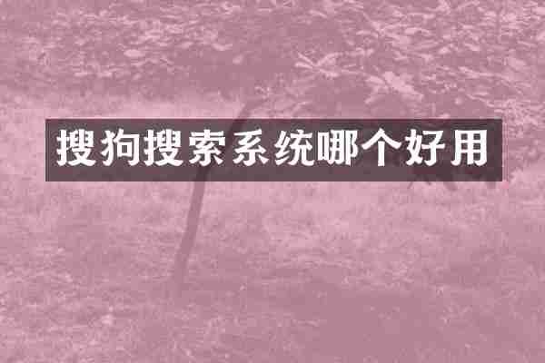 搜狗搜索系统哪个好用