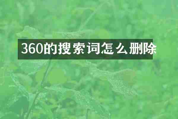 360的搜索词怎么删除
