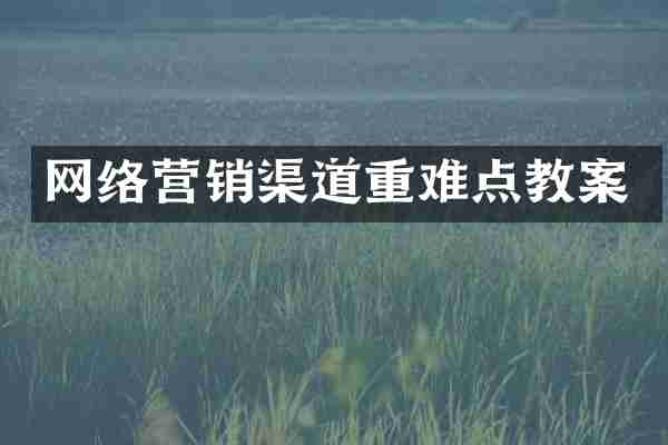 网络营销渠道重难点教案