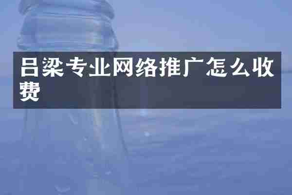 吕梁专业网络推广怎么收费