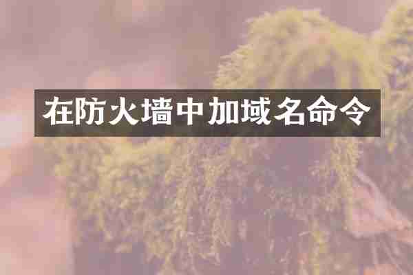 在防火墙中加域名命令