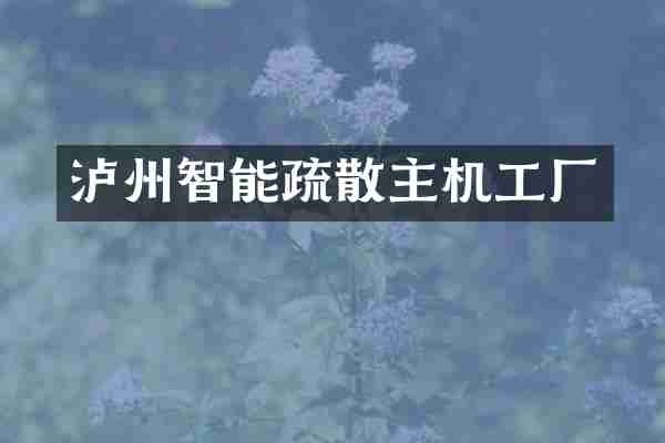 泸州智能疏散主机工厂