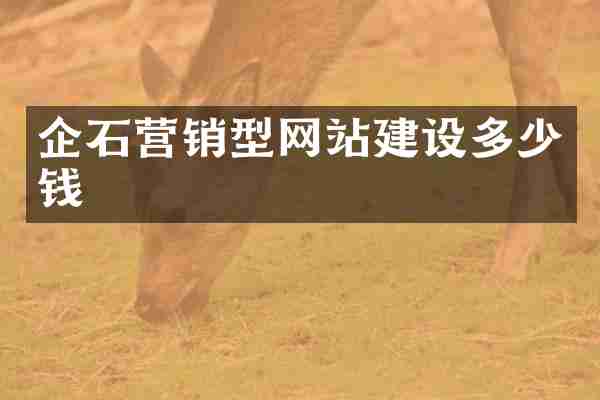 企石营销型网站建设多少钱