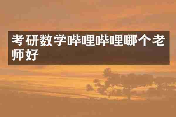 考研数学哔哩哔哩哪个老师好