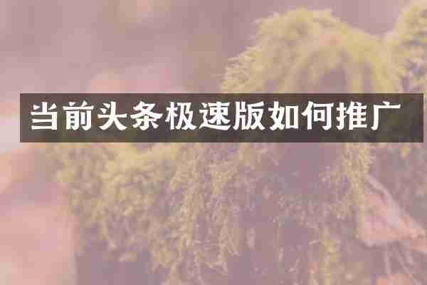 当前头条极速版如何推广