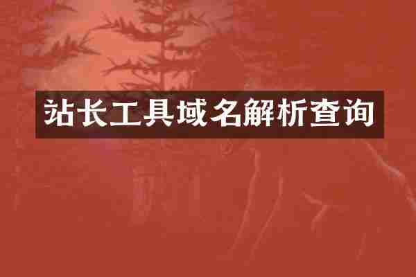 站长工具域名解析查询