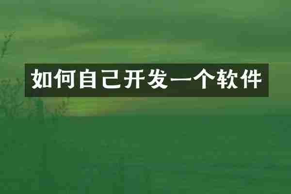 如何自己开发一个软件