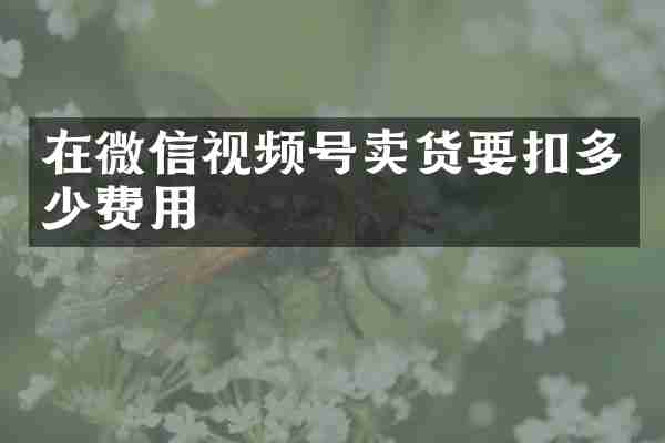 在微信视频号卖货要扣多少费用