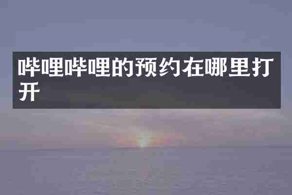 哔哩哔哩的预约在哪里打开