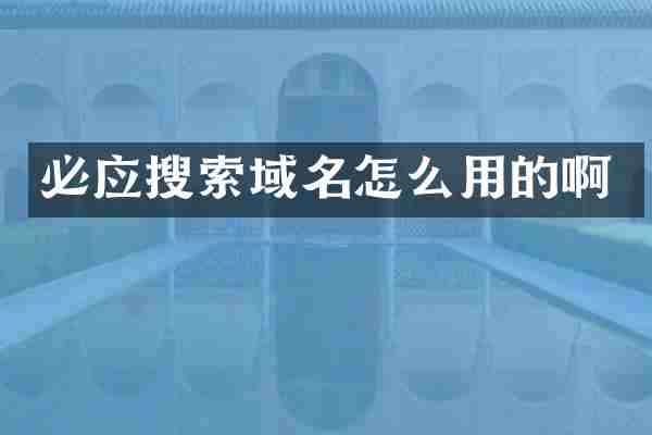 必应搜索域名怎么用的啊
