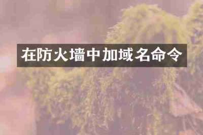 在防火墙中加域名命令