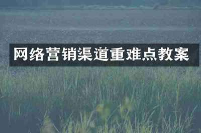 网络营销渠道重难点教案