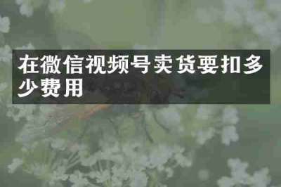 在微信视频号卖货要扣多少费用