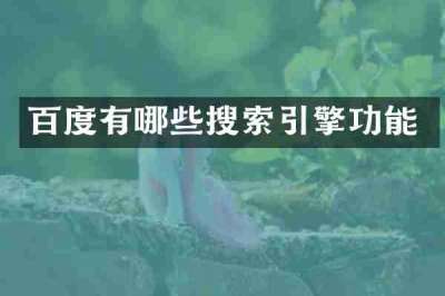 百度有哪些搜索引擎功能