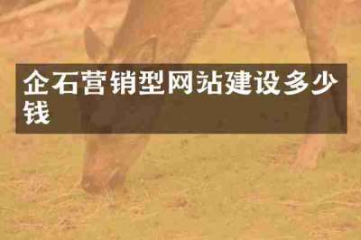企石营销型网站建设多少钱
