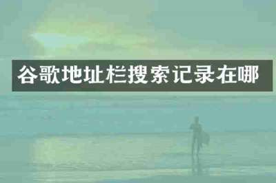 谷歌地址栏搜索记录在哪