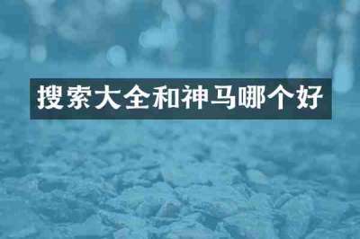 搜索大全和神马哪个好