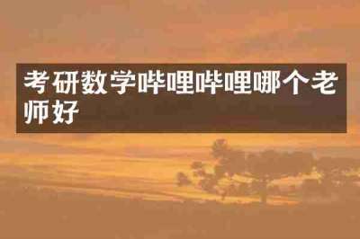 考研数学哔哩哔哩哪个老师好