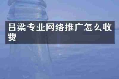 吕梁专业网络推广怎么收费