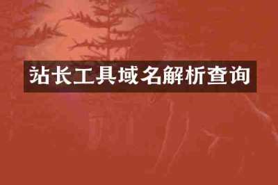 站长工具域名解析查询
