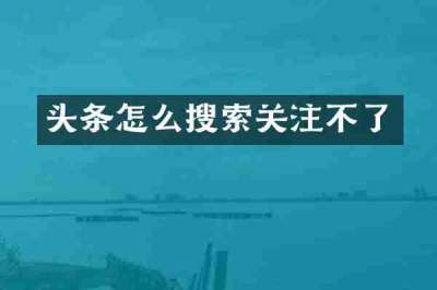 头条怎么搜索关注不了