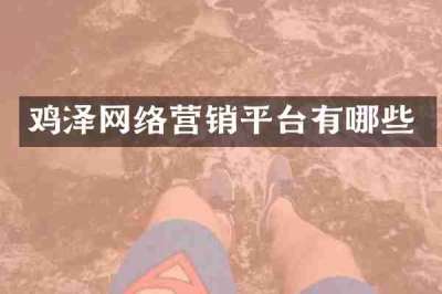 鸡泽网络营销平台有哪些