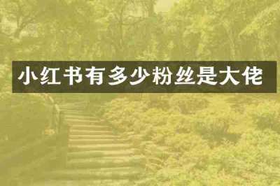 小红书有多少粉丝是大佬