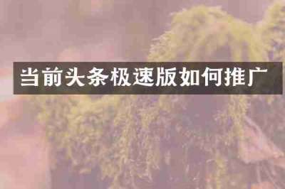 当前头条极速版如何推广