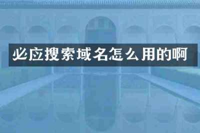 必应搜索域名怎么用的啊